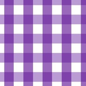 Gingham #20