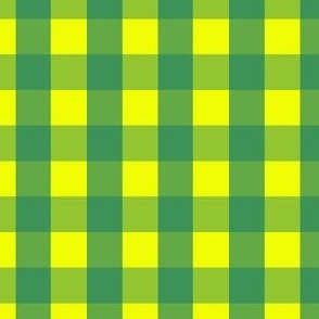  Gingham #22