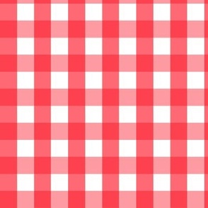 Gingham #23