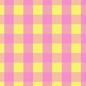 Gingham #26