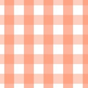 Gingham #30