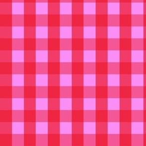 Gingham #31