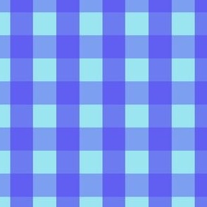 Gingham #32