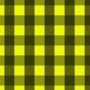 Gingham #37