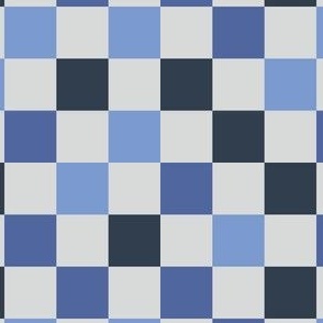  Gender Neutral Blue Check Pattern | Checkered