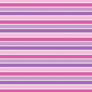 Pink and Purple Horizontal Stripe (Small Scale)