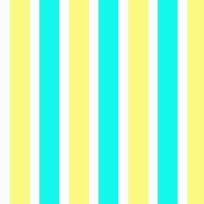 Stripe #6