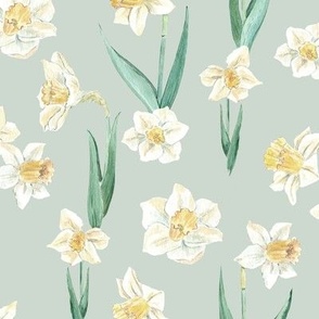 (L) daffodils on milky green Large Scale
