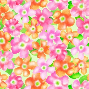 302 Watercolour Flowers