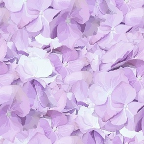 Hydrangea ( Lilac )