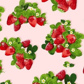 Strawberry Summer ( Petal )