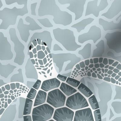 Serene sea turtles swimming in the ocean - monochrome  marine turtles - medium scale