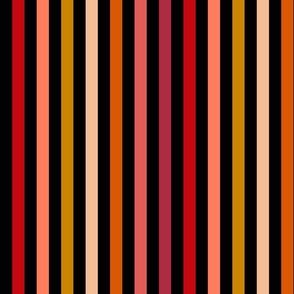 Multicoloured stripes 2