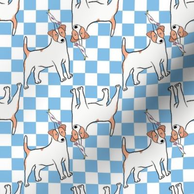 Small - Cute Jack Russell Terrier with bird on blue and white checkerboard - Pets Dogs - dog check