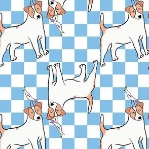 Small - Cute Jack Russell Terrier with bird on blue and white checkerboard - Pets Dogs - dog check