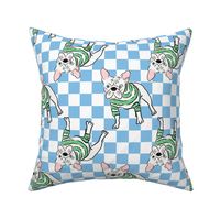 Medium - Cute French Bulldog with striped sweater on blue and white checkerboard - Pets Dogs - dog check