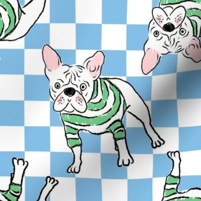 Medium - Cute French Bulldog with striped sweater on blue and white checkerboard - Pets Dogs - dog check