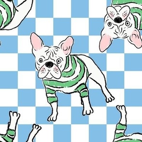 Medium - Cute French Bulldog with striped sweater on blue and white checkerboard - Pets Dogs - dog check