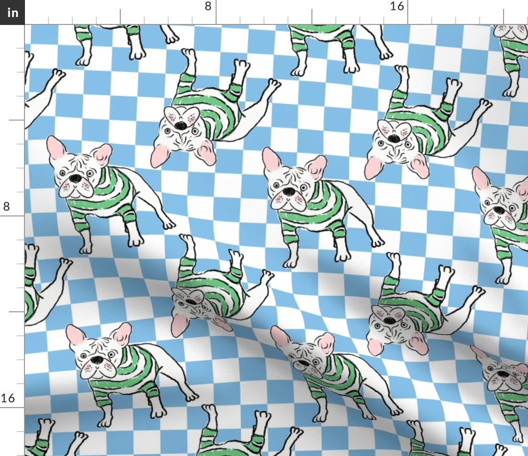 Medium - Cute French Bulldog with striped sweater on blue and white checkerboard - Pets Dogs - dog check