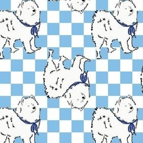 Small - Cute Samoyed dog on blue and white checkerboard - Pets Dogs - dog check - Bjelkier Samoiedskaya Sobaka