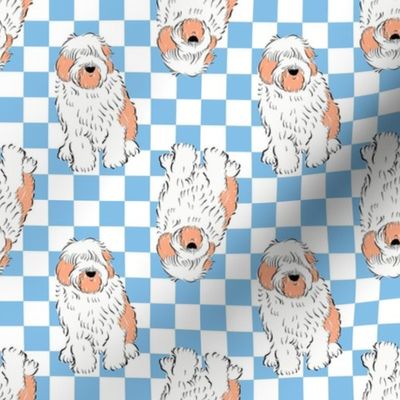 Small - Cute Old English Sheepdog on blue and white checkerboard - Pets Dogs - dog check