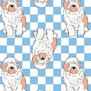 Small - Cute Old English Sheepdog on blue and white checkerboard - Pets Dogs - dog check