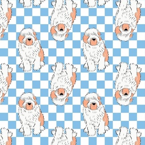 Medium - Cute Old English Sheepdog on blue and white checkerboard - Pets Dogs - dog check