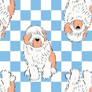 Large - Cute Old English Sheepdog on blue and white checkerboard - Pets Dogs - dog check