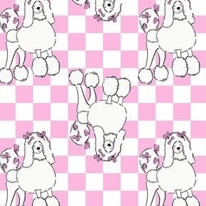 Small - Cute Poodle on pink and white checkerboard - Pets Dogs - dog check - pink bows