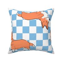 Large - Cute Pembroke Welsh Corgi on blue and white checkerboard - Pets Dogs - dog check