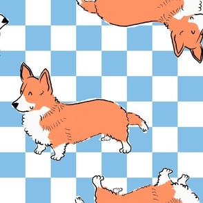 Large - Cute Pembroke Welsh Corgi on blue and white checkerboard - Pets Dogs - dog check