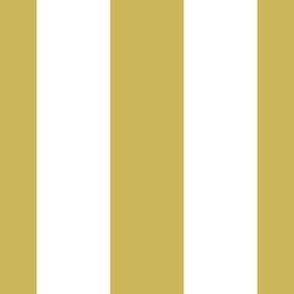 Gold stripes 1