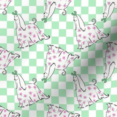 Small - Cute Afghan Hound with bow and flowers on light minty green and white checkerboard - Pets Dogs - dog check