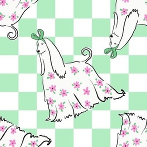 Medium - Cute Afghan Hound with bow and flowers on light minty green and white checkerboard - Pets Dogs - dog check