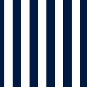 Navy and white stripes