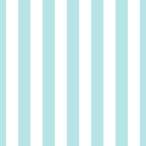 Robin egg blue stripes