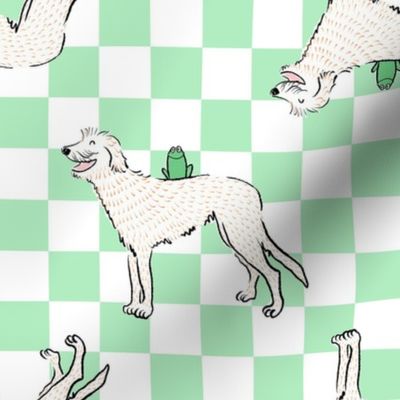 Medium - Irish Wolfhound with frog on light minty green and white checkerboard - Pets Dogs - dog check - Irish Greyhound