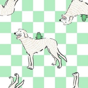 Medium - Irish Wolfhound with frog on light minty green and white checkerboard - Pets Dogs - dog check - Irish Greyhound