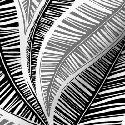 Serene Palm Leaves in Black, smaller scale