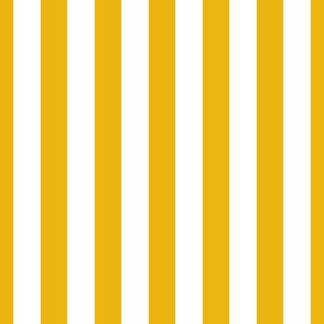 Gold stripes  2