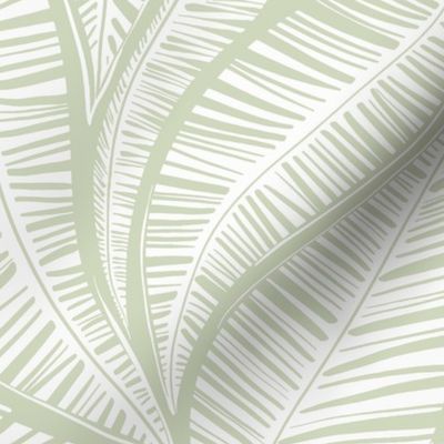 Serene Palm Leaves,  sage background white leaves smaller scale