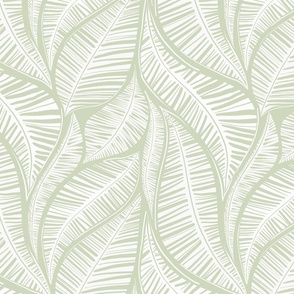 Serene Palm Leaves,  sage background white leaves smaller scale