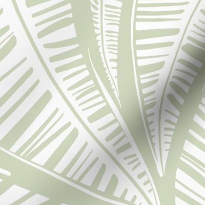Serene Palm Leaves,  sage background white leaves large scale