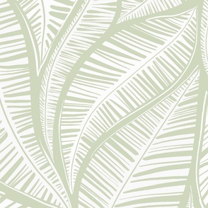Serene Palm Leaves,  sage background white leaves large scale