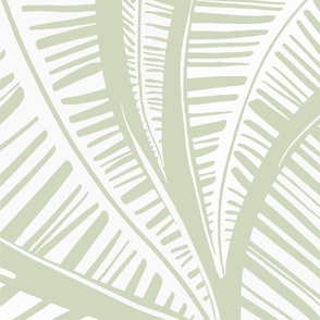 Serene Palm Leaves,  sage background white leaves extra large scale