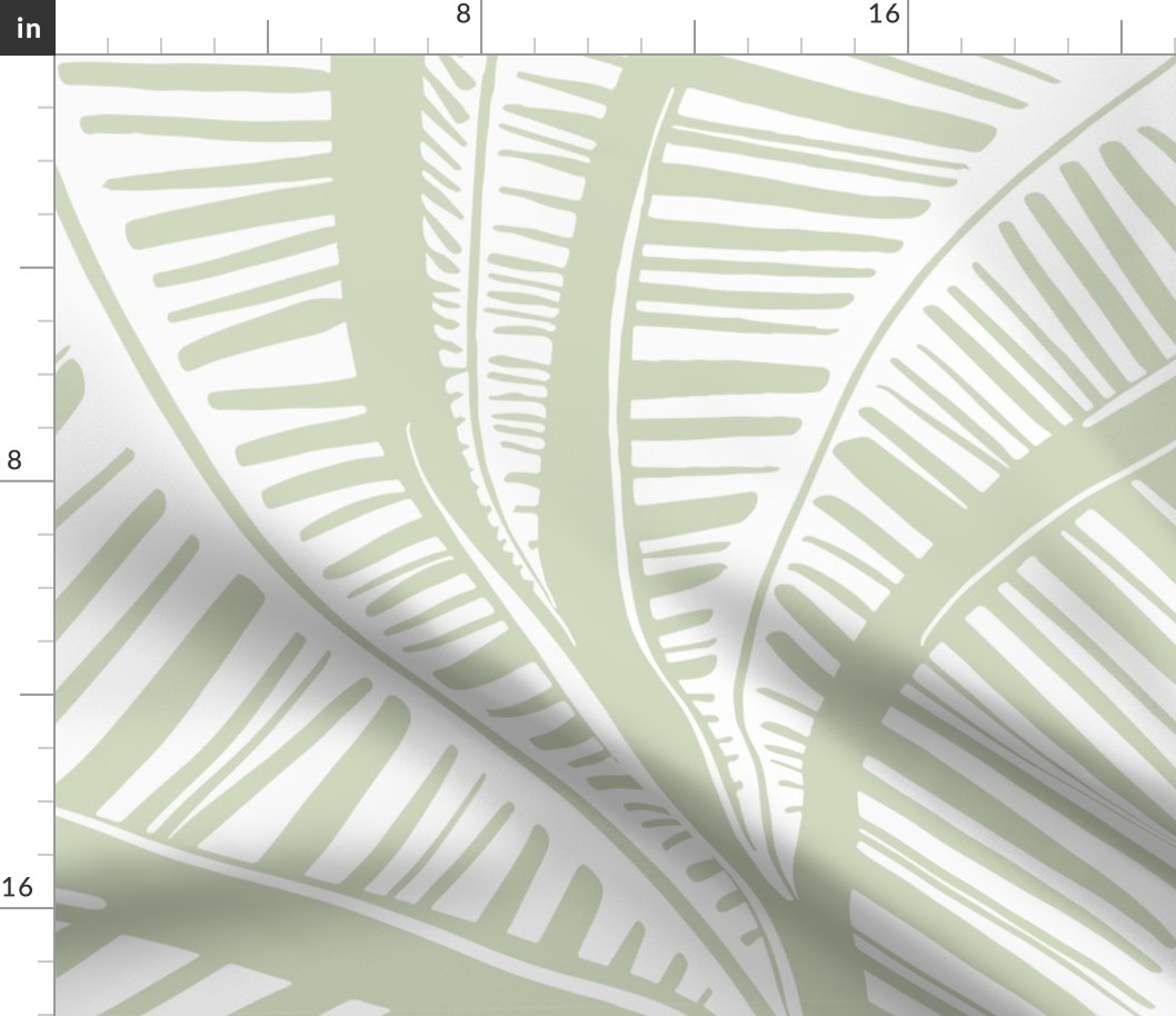 Serene Palm Leaves,  sage background white leaves extra large scale