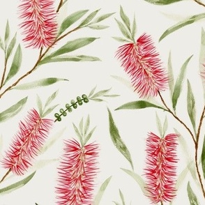 Medium Watercolor Australian Red Bottle Brush Flowers with Dulux Casper White Quarter Background