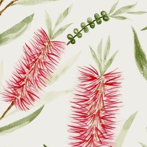 Large Watercolor Australian Red Bottle Brush Flowers with Dulux Casper White Quarter Background