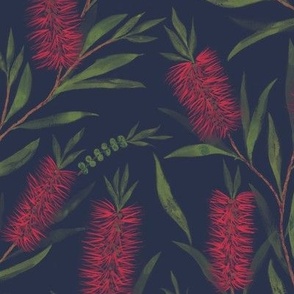 Medium Watercolor Australian Red Bottle Brush Flowers with Dulux Ahoy Midnight Blue Background