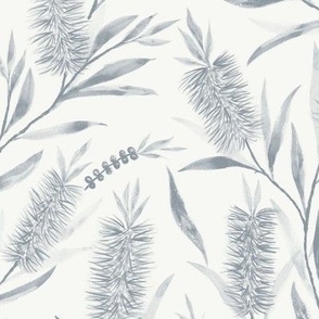 Medium Watercolor Australian  Bottle Brush Flowers in Dulux Aerobus Grey  with Vivid White Background